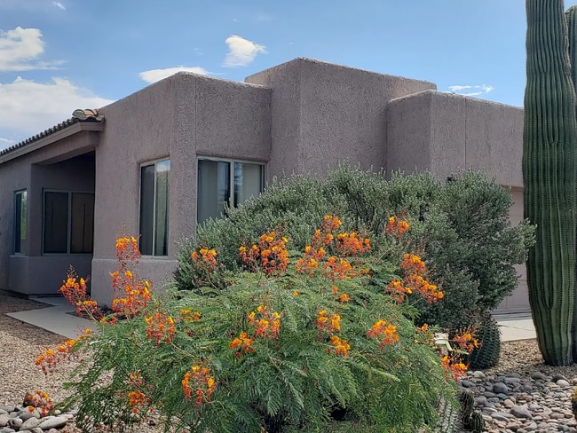 Photo - 1853 W Waterleaf Dr House