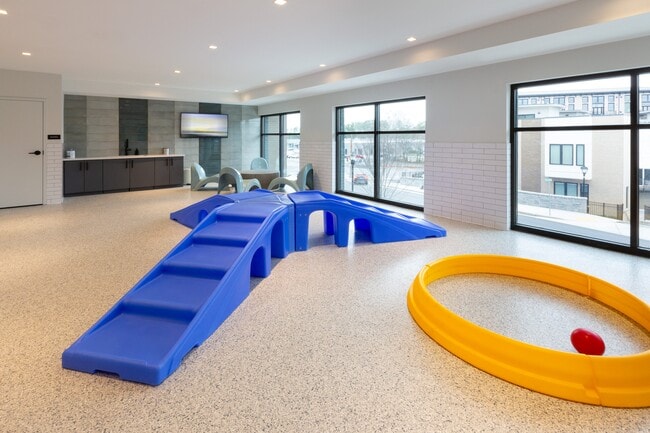 Parque de juegos para mascotas en interiores - Bexley Chamblee
