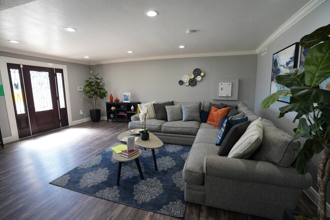 Photo - Steeplechase