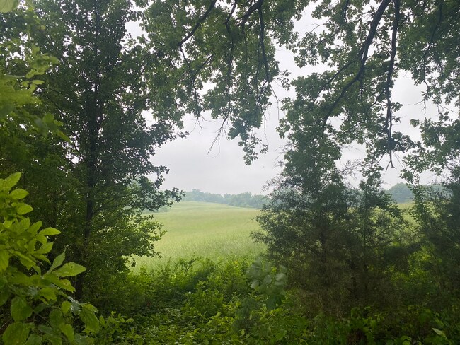 Photo - 224 Park Cir Dr