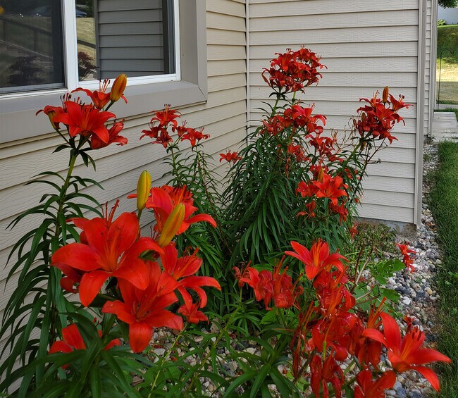 Photo - LINDERHOF PARK APARTMENTS