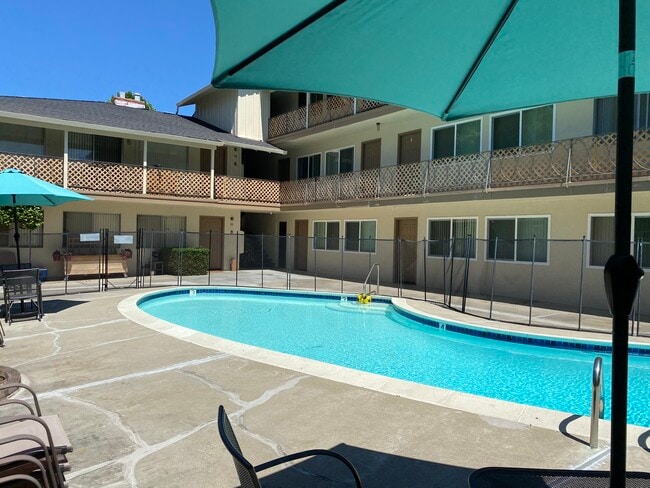 Pool - 245 Easy Street