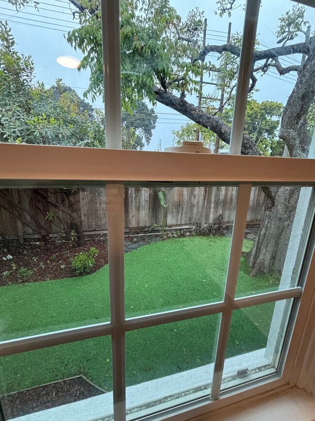 Living Rm view of your front garden - 912 1/2 California Ave