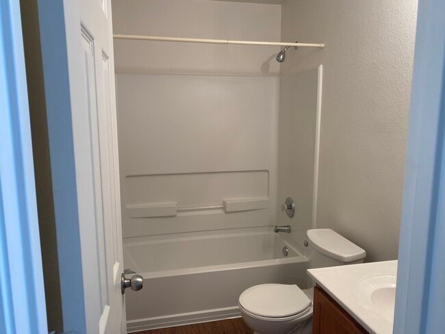 Photo - 25715 Gold Yarrow