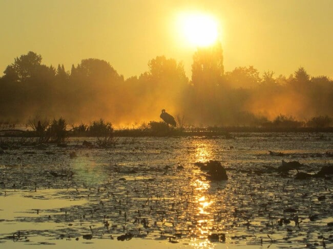 Photo - High Gate Apartments