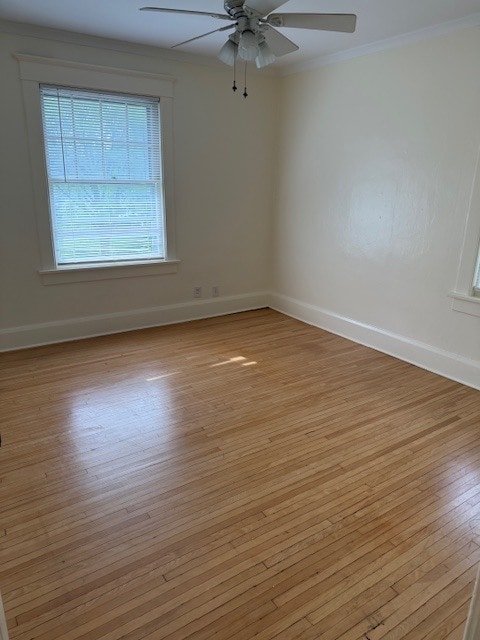 Photo - 836 N Rebecca Pl