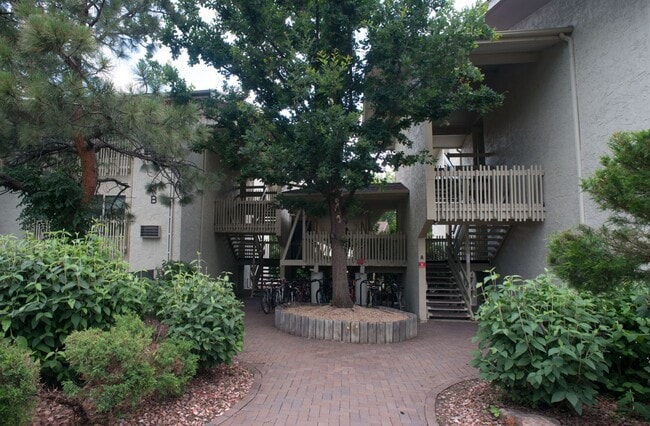 Photo - 2-Bedroom Condo for Rent at Aspen Grove