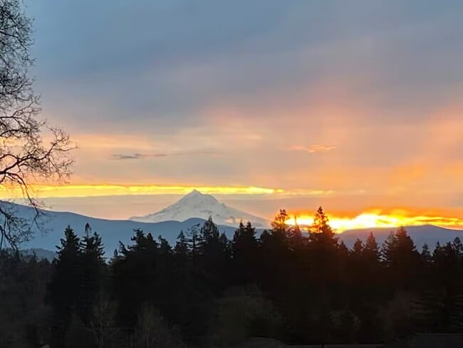 Photo - 1571 N 4th Ct