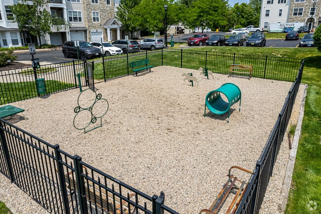 Dog Park - Spark Bloomfield