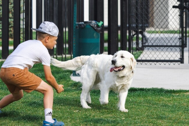 Photo - Lofts at River Point