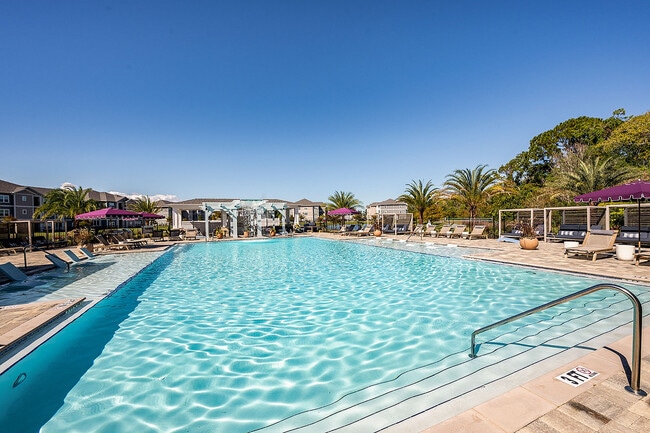 Photo - LUCA St. Augustine