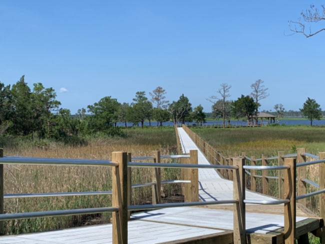 Photo - 6518 Sharks Tooth Trl