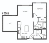 Cedar