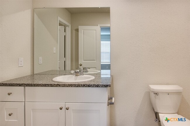 Photo - 1915 Chiffchaff