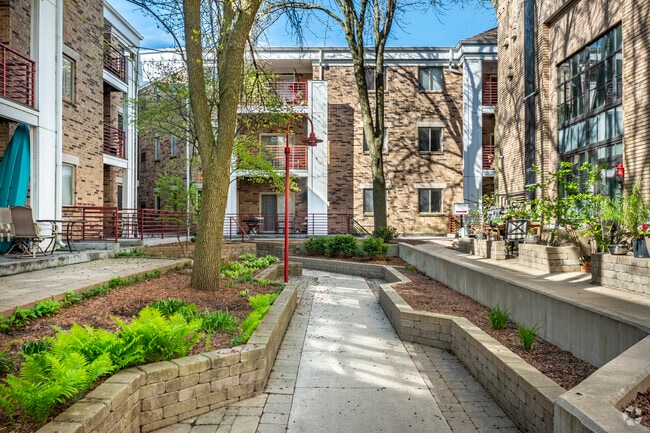 Common Space - Courtyard