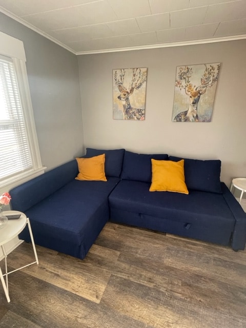 Photo - 395 Berwick St