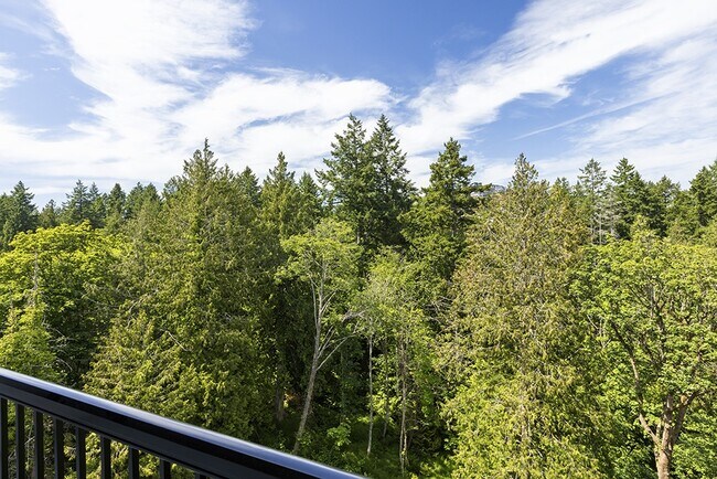 Photo - Marakai - Corporate Unit A312