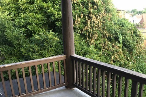 Photo - 1806 Termon Ave Unidad 2