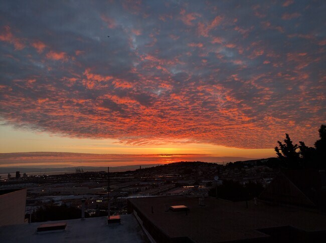 Photo - 637 Peralta Ave