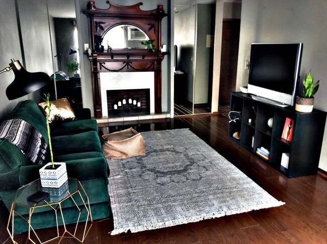 Cozy living room with faux fire place & built-in storage closets on both sides - 333 8th St SE Unit 104 Rental