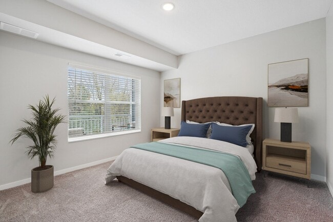 White Bear | 1 Bedroom - The Barnum