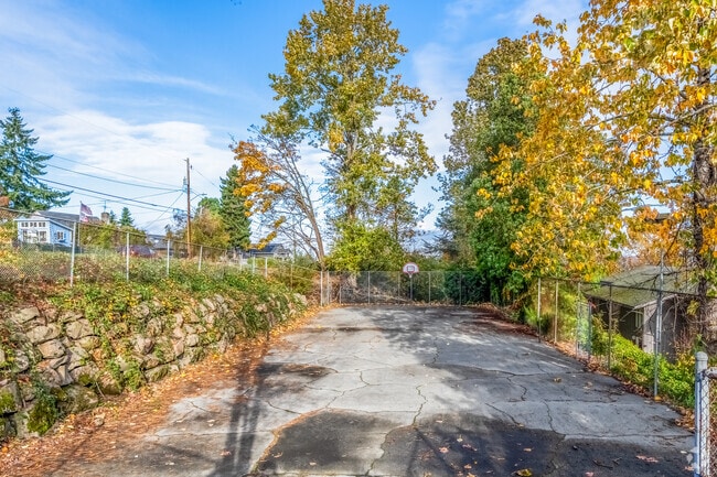 Basketball Court