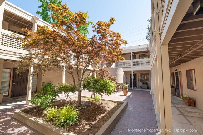 Amazing Downtown Los Gatos Location * One ... - Amazing Downtown Los Gatos Location * One ... Condo Unit 204
