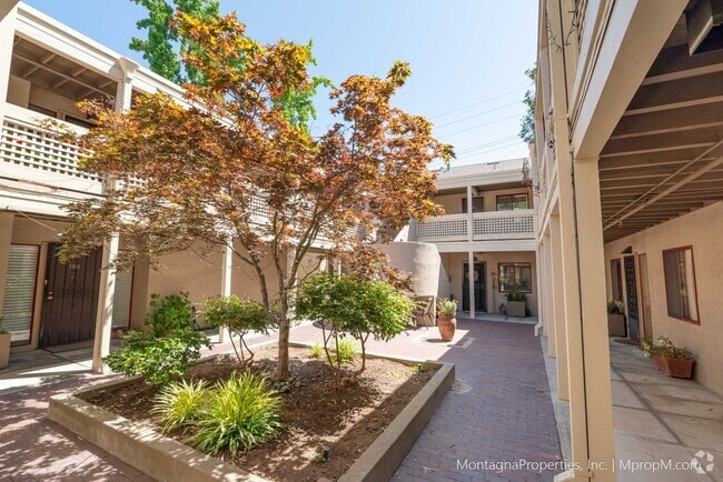 Building Photo - Amazing Downtown Los Gatos Location * One ... Unit 204 Rental