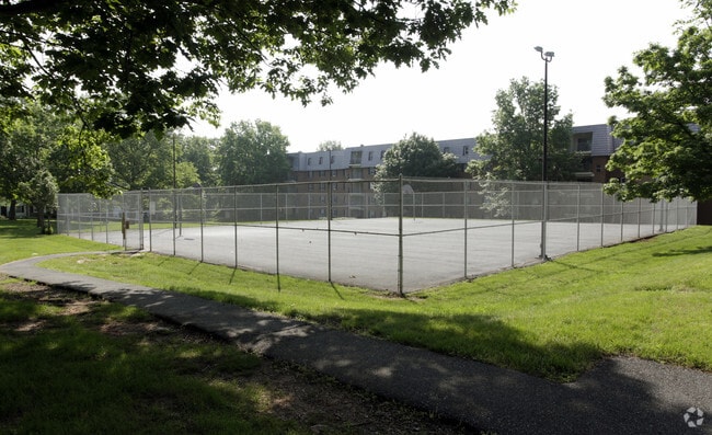 Basketball Court