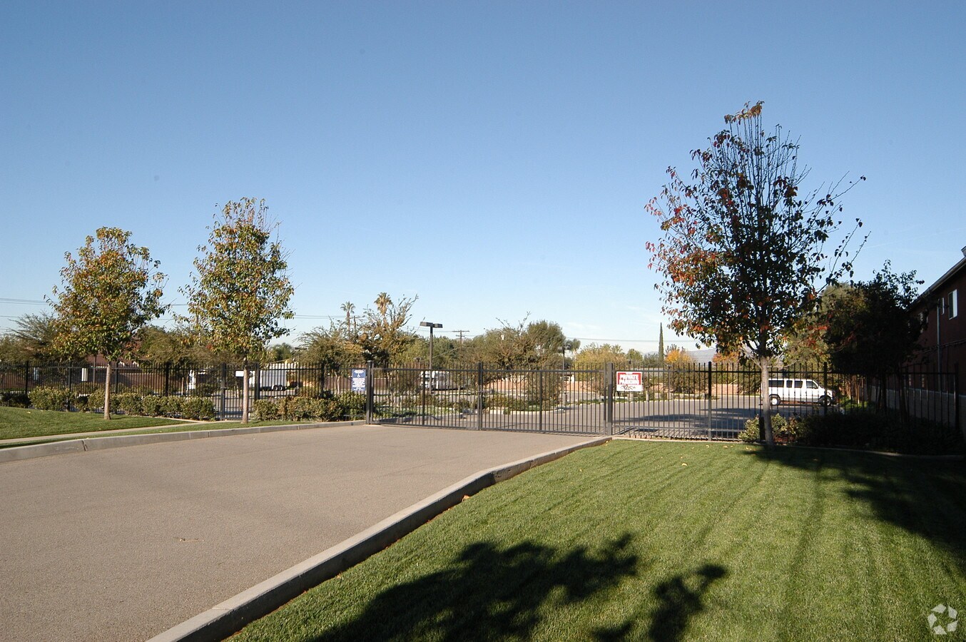 Photo - Spanish Oaks