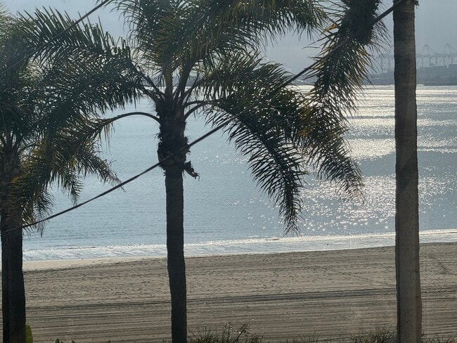 Building Photo - 1816 E Ocean Blvd Unit 1816