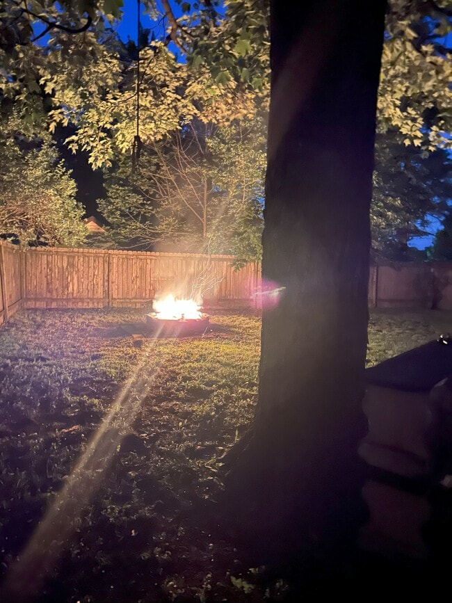 Fogata en el patio trasero 3 - 161 17th St N