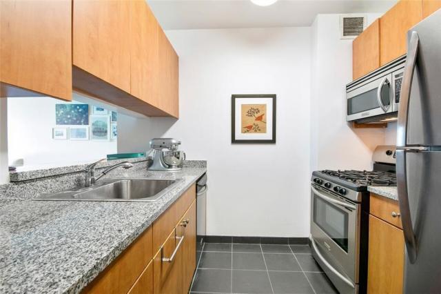 1 bedroom in LONG ISLAND CITY NY 11109 - 1 bedroom in LONG ISLAND CITY NY 11109 Condo Unit 502