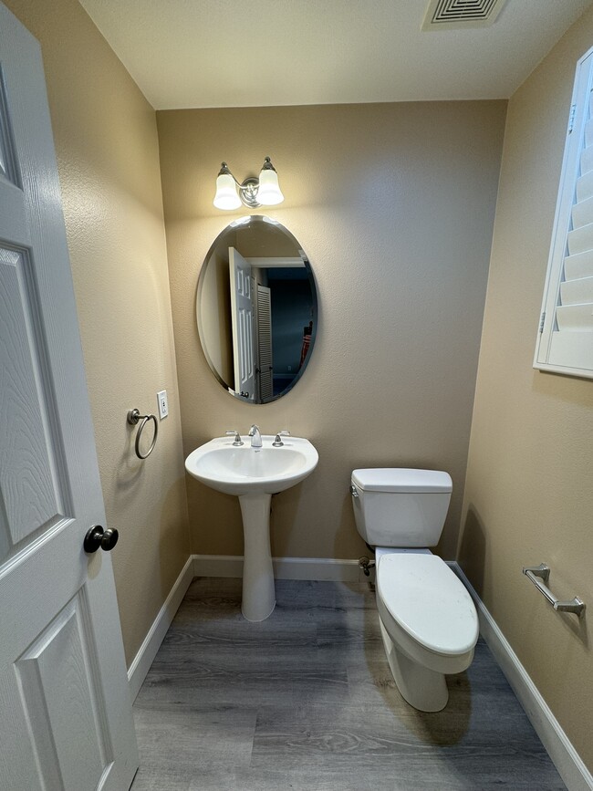 Photo - 30 Perennial