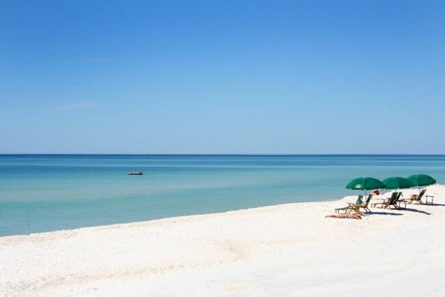 Photo - 304 La Paloma Pl Unidad ID1049725P