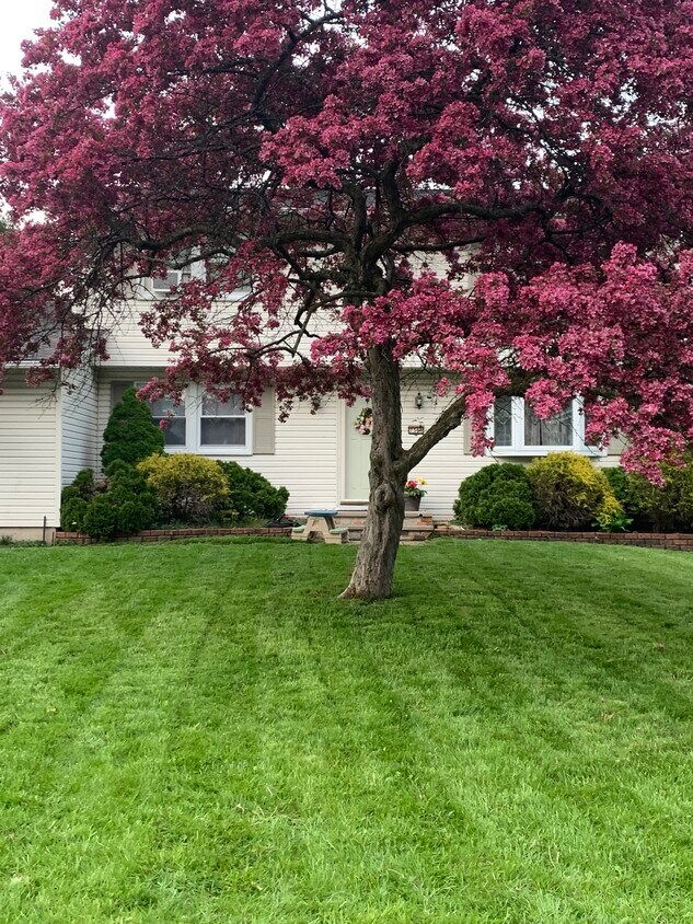 Photo - 7361 Cedar Post Rd (Liverpool, NY)