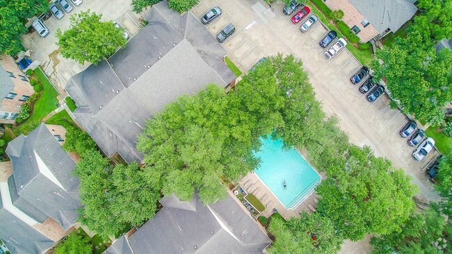 Building Photo - 2255 Braeswood Park Dr Unit 221 Rental