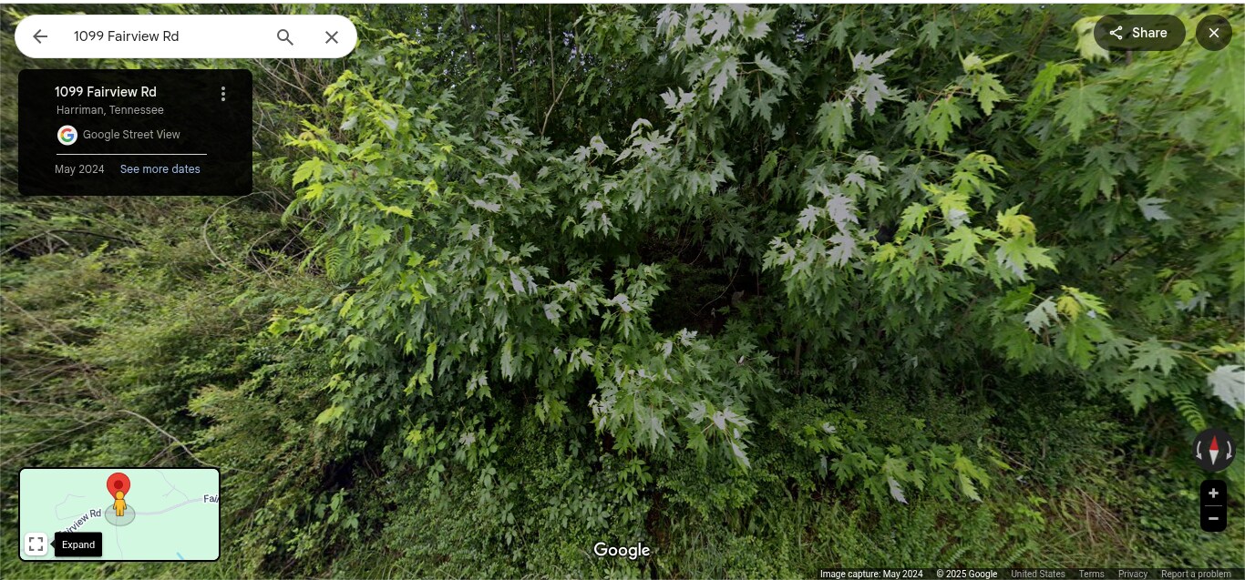 Photo - 1099 Fairview Rd