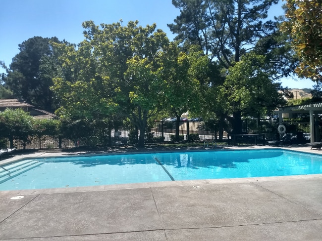 Photo - 1930 Camino Verde Apartamento Unidad D