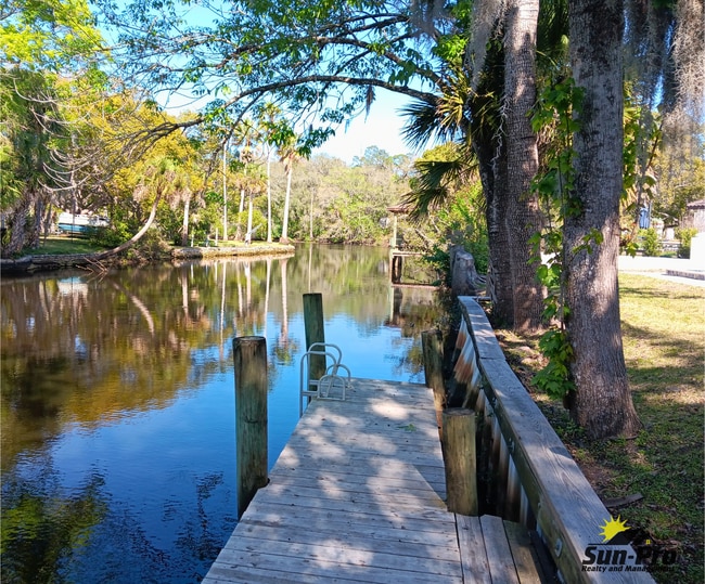 Photo - 9 Waterberry Cir