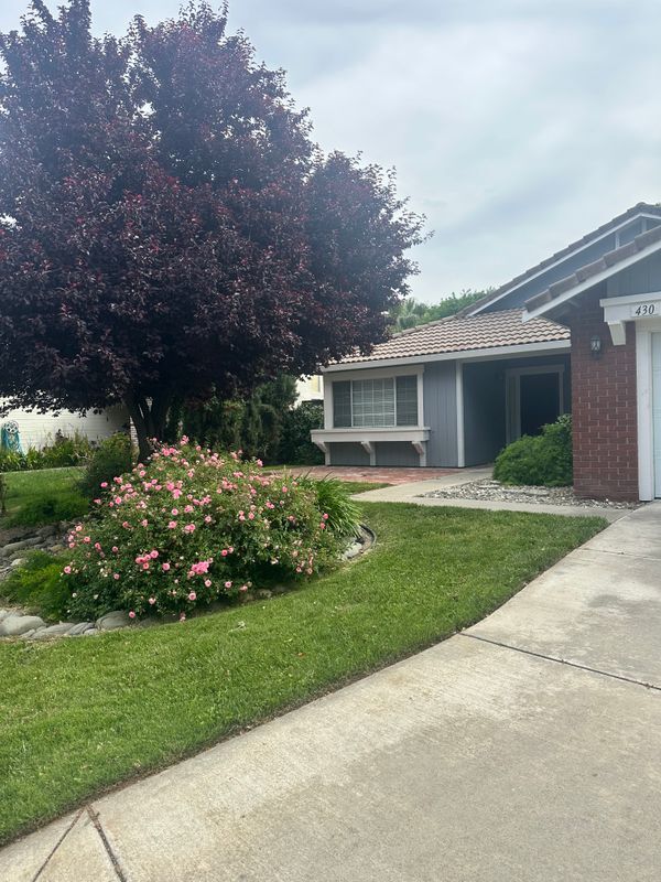 Photo - 430 Silvertail Pl