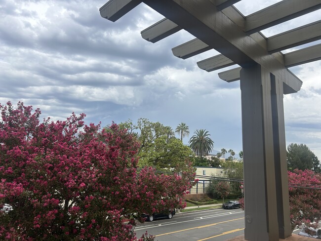 Photo - Los Patios De Cordova 218 S Oakland Ave