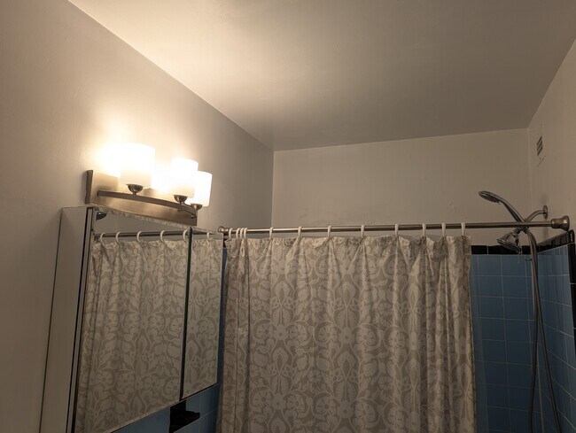 Bathroom - 1300 S Arlington Ridge Rd Unit 103