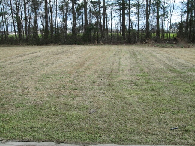 Photo - Elegance in Elizabeth City!