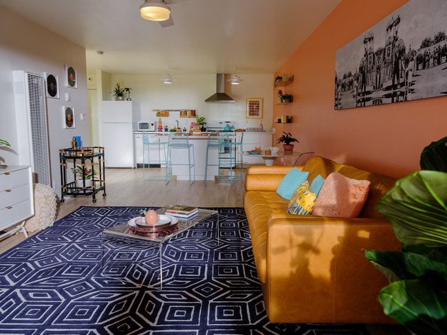 Photo - Koda on Fremont