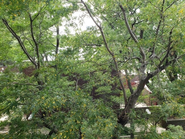 Building Photo - 2605 S Indiana Ave