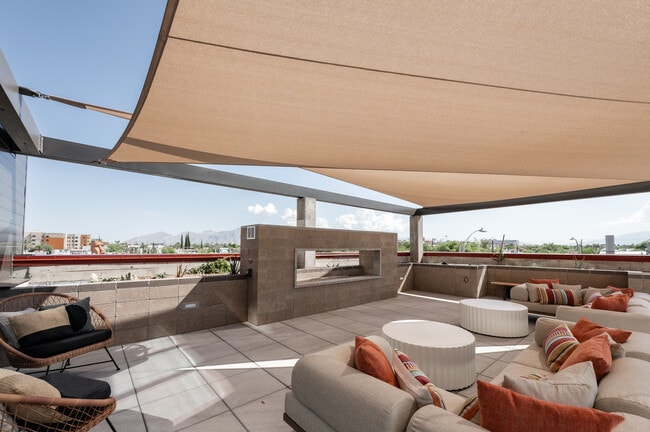 Photo - Ari on Fourth