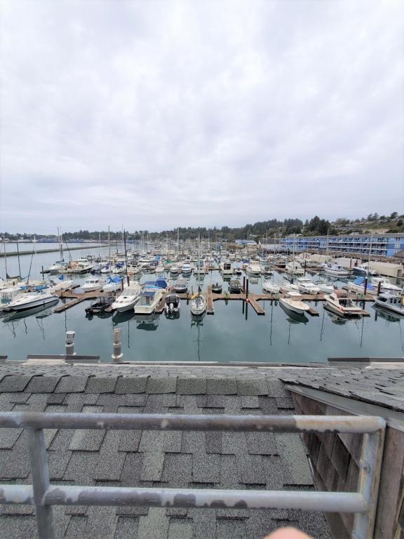 Photo - 1000 SE Bay Blvd. Condo Unit C312