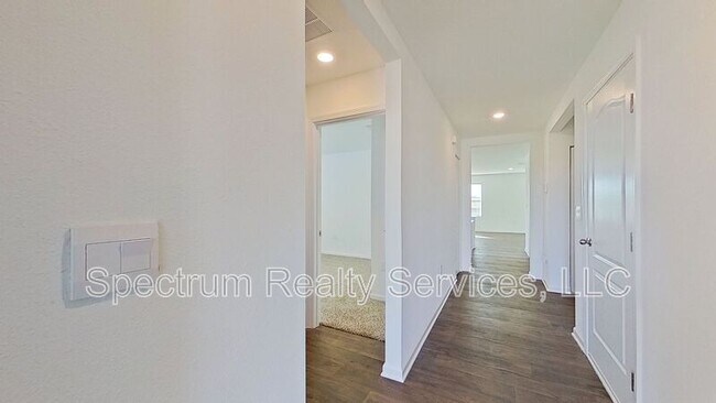 Photo - 12452 Rubber Fig Ter