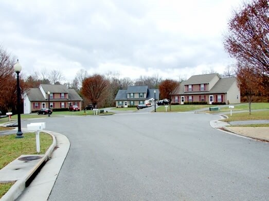 Photo - Shady Knoll
